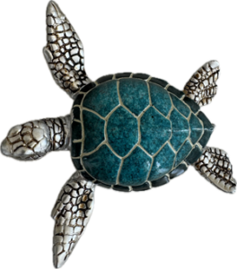 Schildkröte-Aarhus